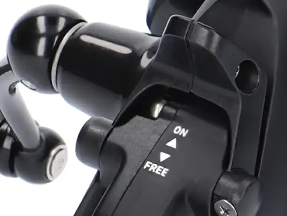 Daiwa 19 Black Widow BR LT 3000