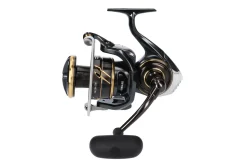 Daiwa 23 Caldia SW 10000-H
