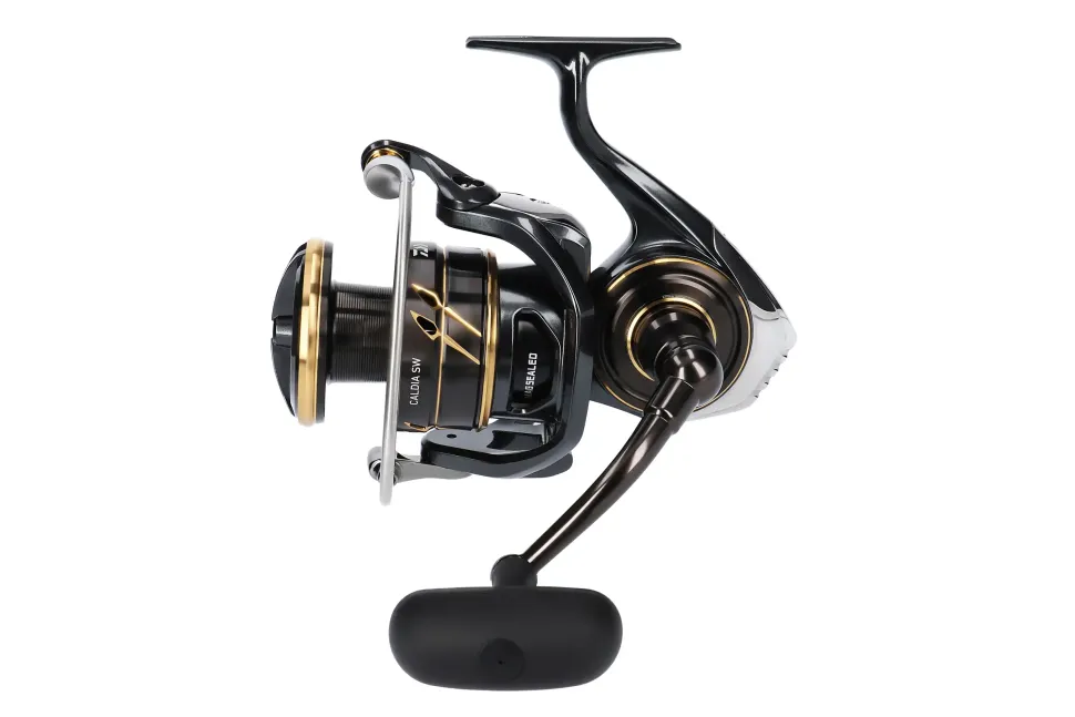 Daiwa 23 Caldia SW 8000-H