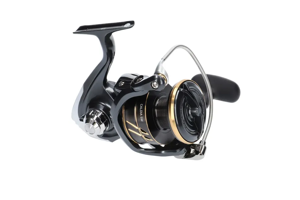 Daiwa 23 Caldia SW 8000-H