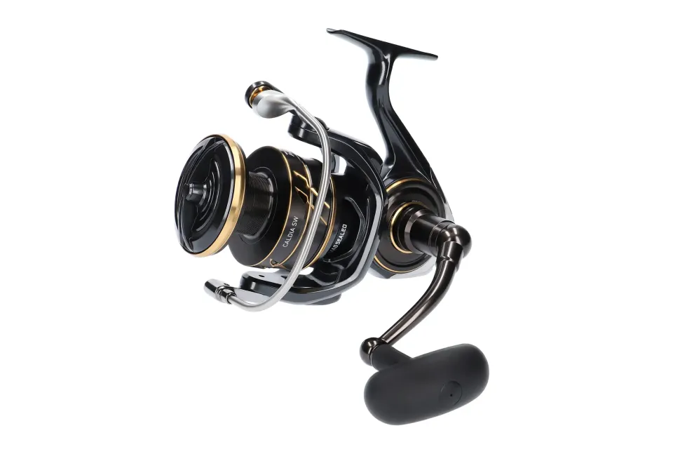 Daiwa 23 Caldia SW 8000-H