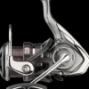 Daiwa 20 Exceler LT 5000 C