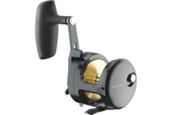 Daiwa 24 Saltiga 35L