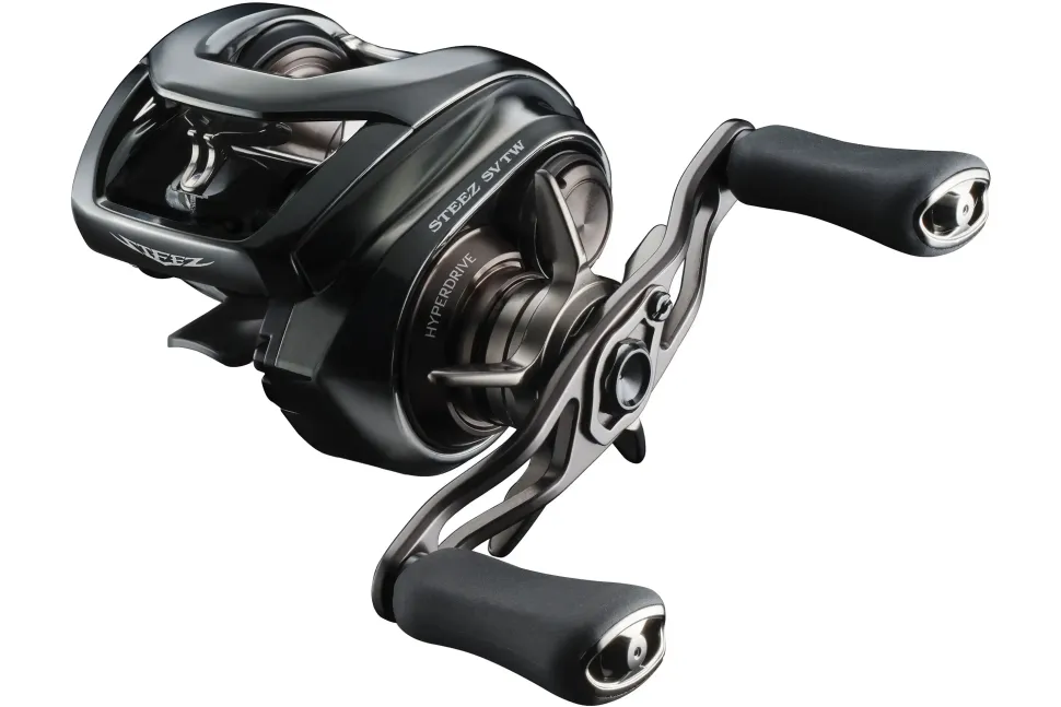 Daiwa 24 Steez SV TW 100HL