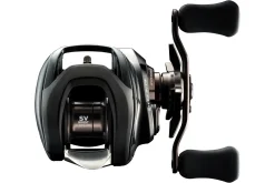 Daiwa 24 Steez SV TW 100HL