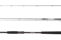 Daiwa Ballistic X Jig. 2,70m 7-28g