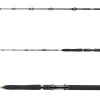 Daiwa BG Big Game 1,68m 30-50lb