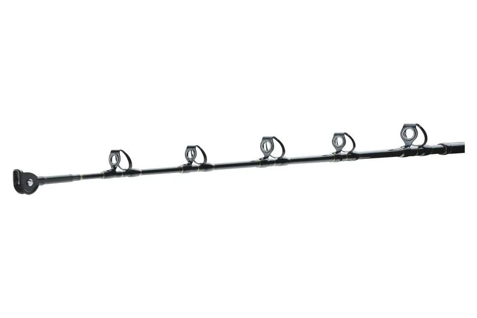 Daiwa BG Big Game 1,68m 30-50lb