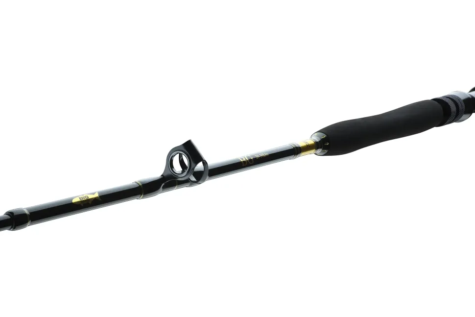 Daiwa BG Big Game 1,68m 20-30lb