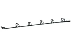 Daiwa BG Big Game 1,68m 20-30lb