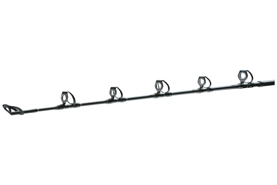 Daiwa BG Big Game 1,68m 20-30lb