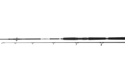 Daiwa BG Offshore Boat 2,40m 150-400g