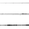 Daiwa Prorex S Spin 2,70m 5-30g