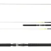 Daiwa Sealine X'treme Interline 2,35m 15-30lb