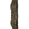 FOX Carp Camolite 12' 6 Rod Hardcase