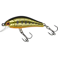 Gunki Rodan 40 SHW Acid Trout Gold