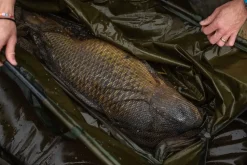 Korda Basix Weigh Sling