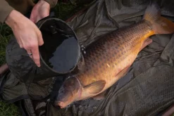 Korda Compac Water Bucket