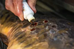 Korda Korda Propolis Carp Treatment