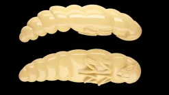Libra Lures Largo 35 Cheese 3,5cm 001 - white