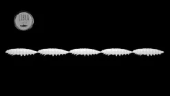 Libra Lures Larva Multi 25 -5x5 Cheese 2,5cm 001 - white