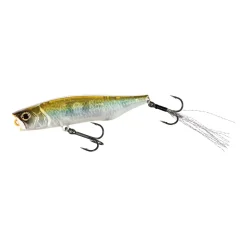 Shimano Bantam Ligen 66F 001 S Chart Back