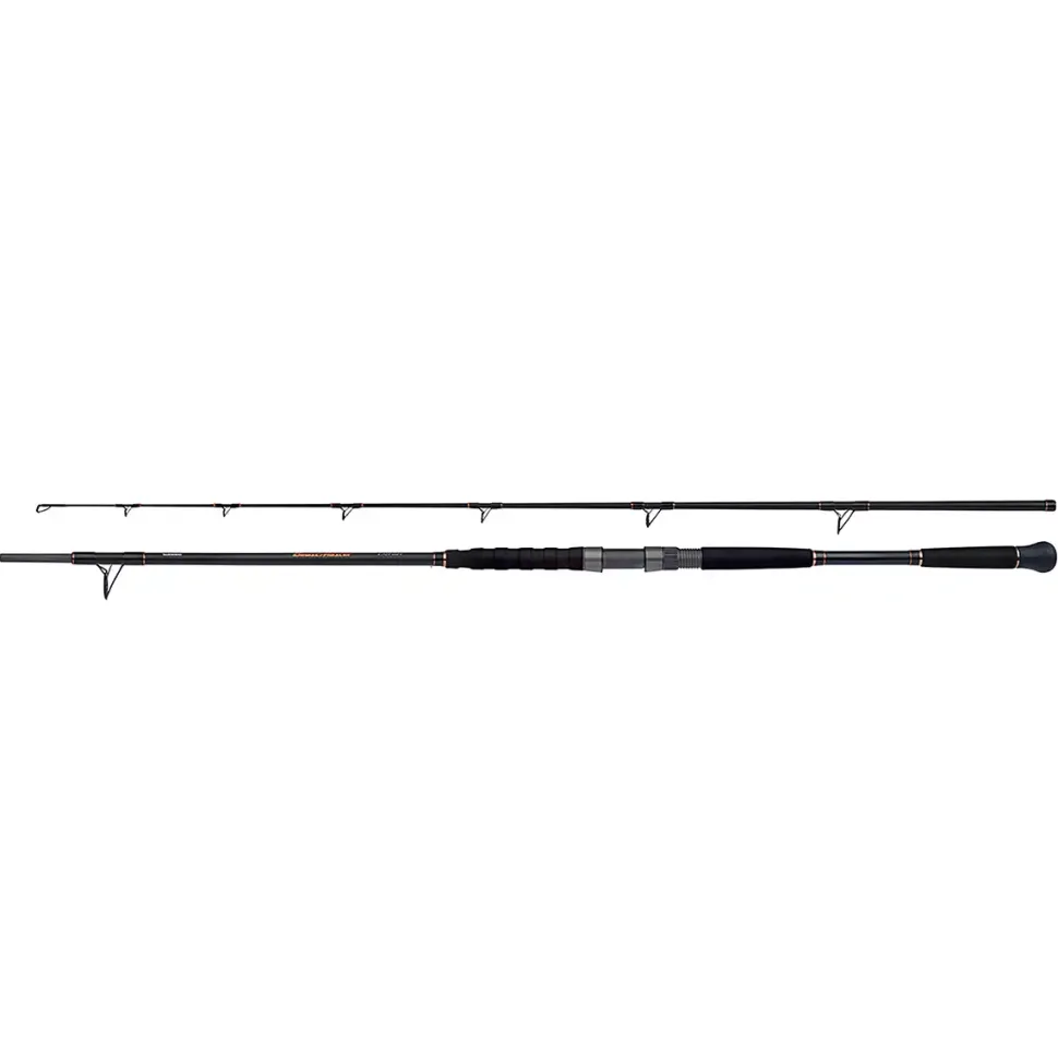 Shimano Beastmaster Catfish 220cm 120g 2pc