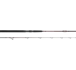 Spro Salty Beast Solidz 2,4m 0-250g