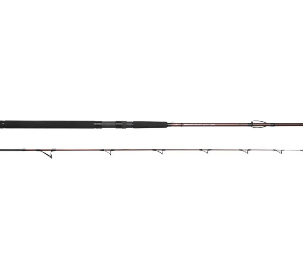 Spro Salty Beast Solidz 2,4m 0-250g
