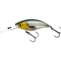 Westin Buzzbite SP 5cm Official Roach