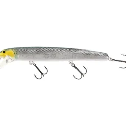 Westin Jätte 17cm Alert Tiger