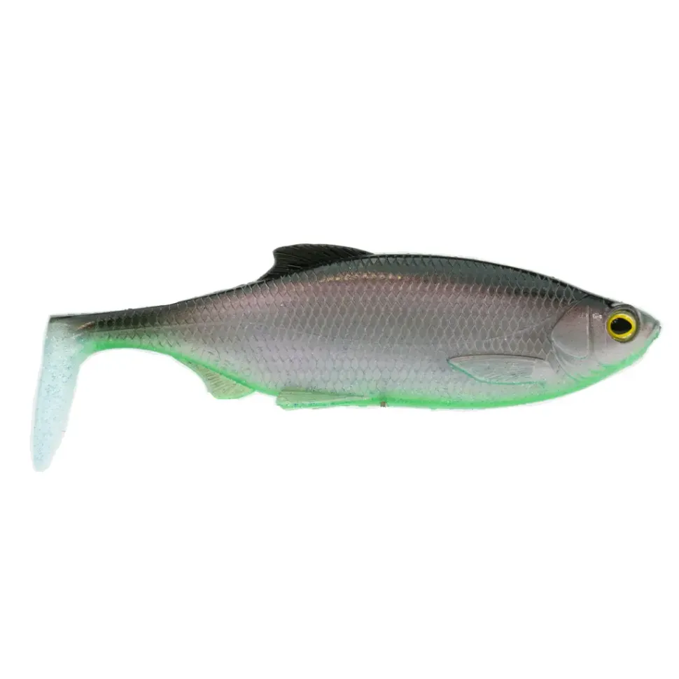 Westin Ricky The Roach Shadtail AJ Sonderfarbe 18cm Bodden Belly