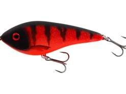 Westin Swim S 8cm Official Roach