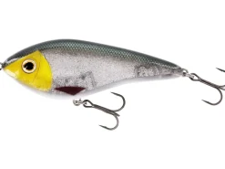 Westin Swim SP 8cm Official Roach