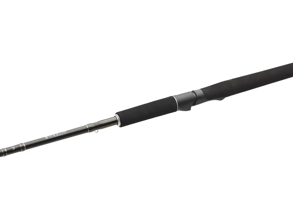 Westin W2 Powercast Travel XH 2,48m 20-80g