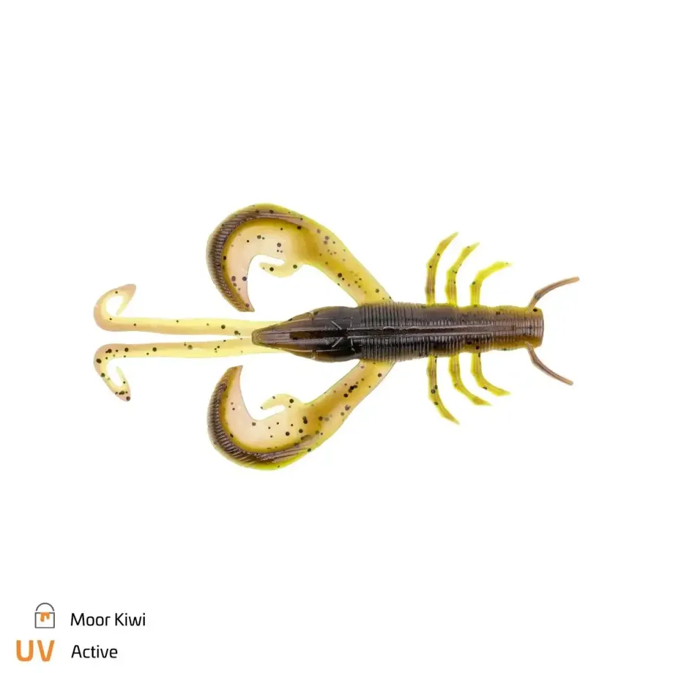 Zeck Edward 6cm Color Mix 1
