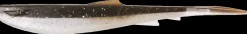 Zeck Wilson 6" Moor Silver